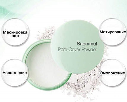 Пудра рассыпчатая The Saem Saemmul Perfect Pore powder