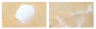 Крем для лица балансирующий The Skin House Natural Balancing Cream
