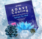 Маска гидрогелевая для лица c агавой Petitfee Agave Cooling Hydrogel Face Mask