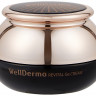 Крем для лица восстанавливающий WellDerma Revital Ge Cream 
