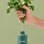 Гидрофильное масло для лица Fraijour  Original Herb Wormwood Cleansing Oil