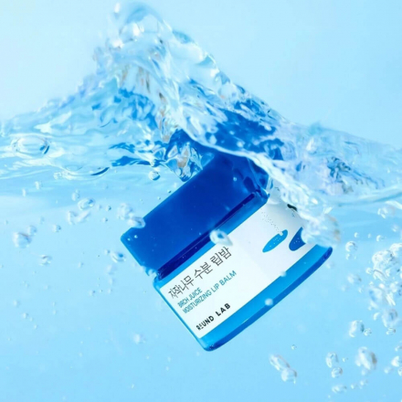 Бальзам для губ увлажняющий с аппликатором Round Lab Birch Juice Moisturizing Lip Balm+Brush Set