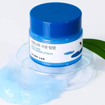 Бальзам для губ увлажняющий с аппликатором Round Lab Birch Juice Moisturizing Lip Balm+Brush Set