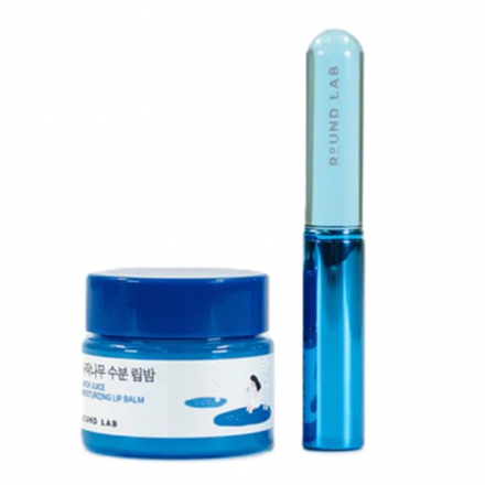 Бальзам для губ увлажняющий с аппликатором Round Lab Birch Juice Moisturizing Lip Balm+Brush Set