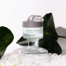 Сыворотка - крем для лица спрессованная увлажняющая Хрустальный лед Blithe Pressed Serum Crystal Iceplant