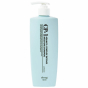 Шампунь для волос увлажняющий Esthetic House CP-1 Aquaxyl Complex Intense Moisture Shampoo