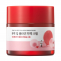 Крем для лица с коллагеном и камелией Round Lab Camellia Deep Collagen Firming Cream